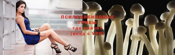 таблы Горнозаводск
