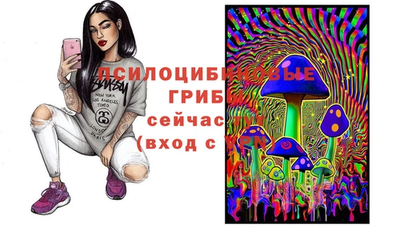 PSILOCYBIN Вяземский