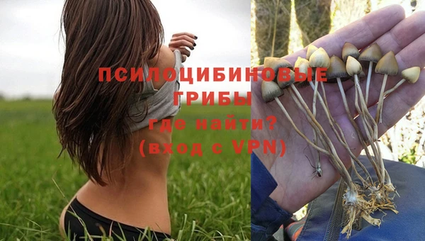 PSILOCYBIN Вяземский