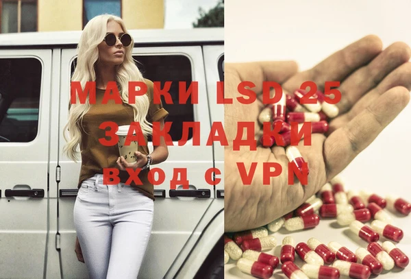 крисы Вязьма